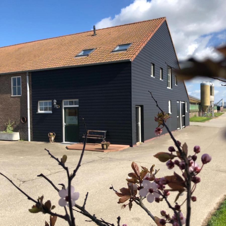 Appartement De Graanzolder Aan Zeeuwse Kust Hoofdplaat Bagian luar foto