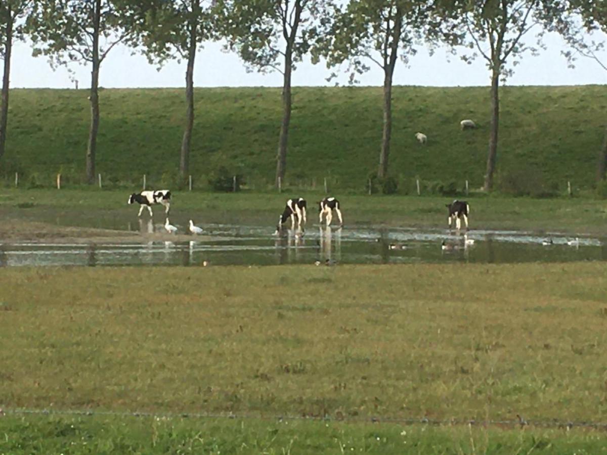 Appartement De Graanzolder Aan Zeeuwse Kust Hoofdplaat Bagian luar foto