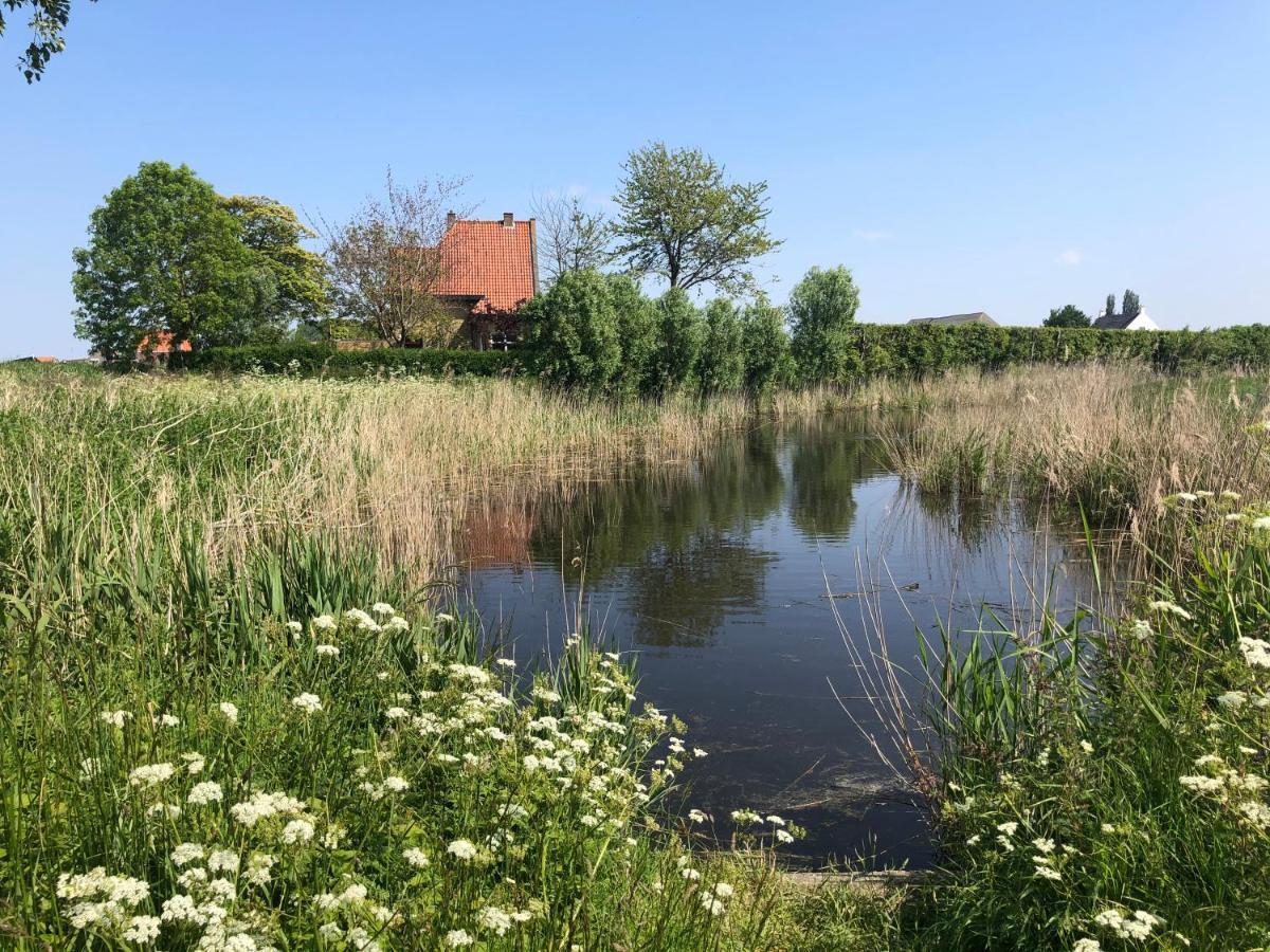 Appartement De Graanzolder Aan Zeeuwse Kust Hoofdplaat Bagian luar foto