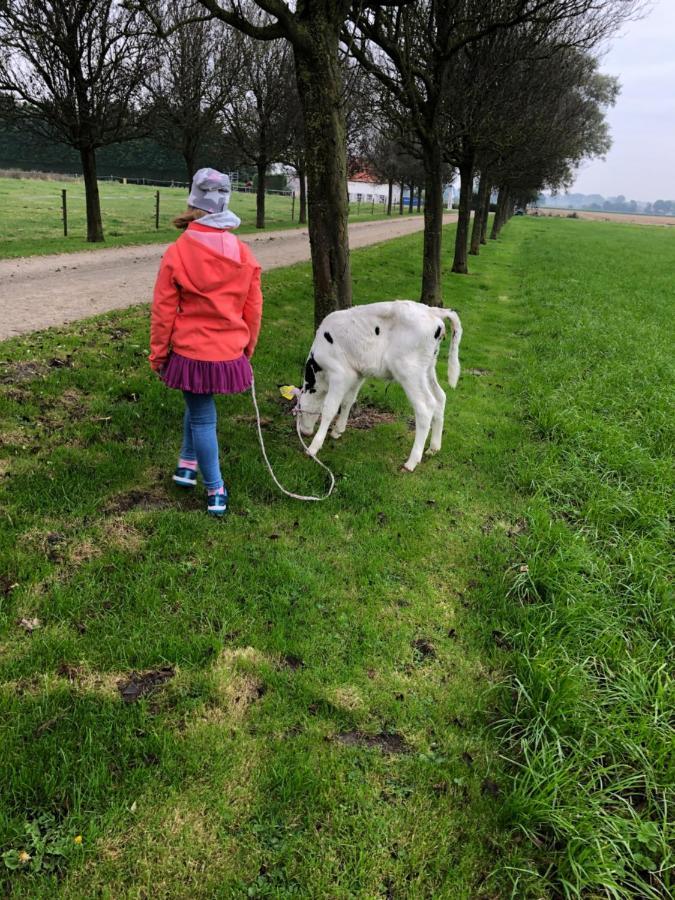 Appartement De Graanzolder Aan Zeeuwse Kust Hoofdplaat Bagian luar foto